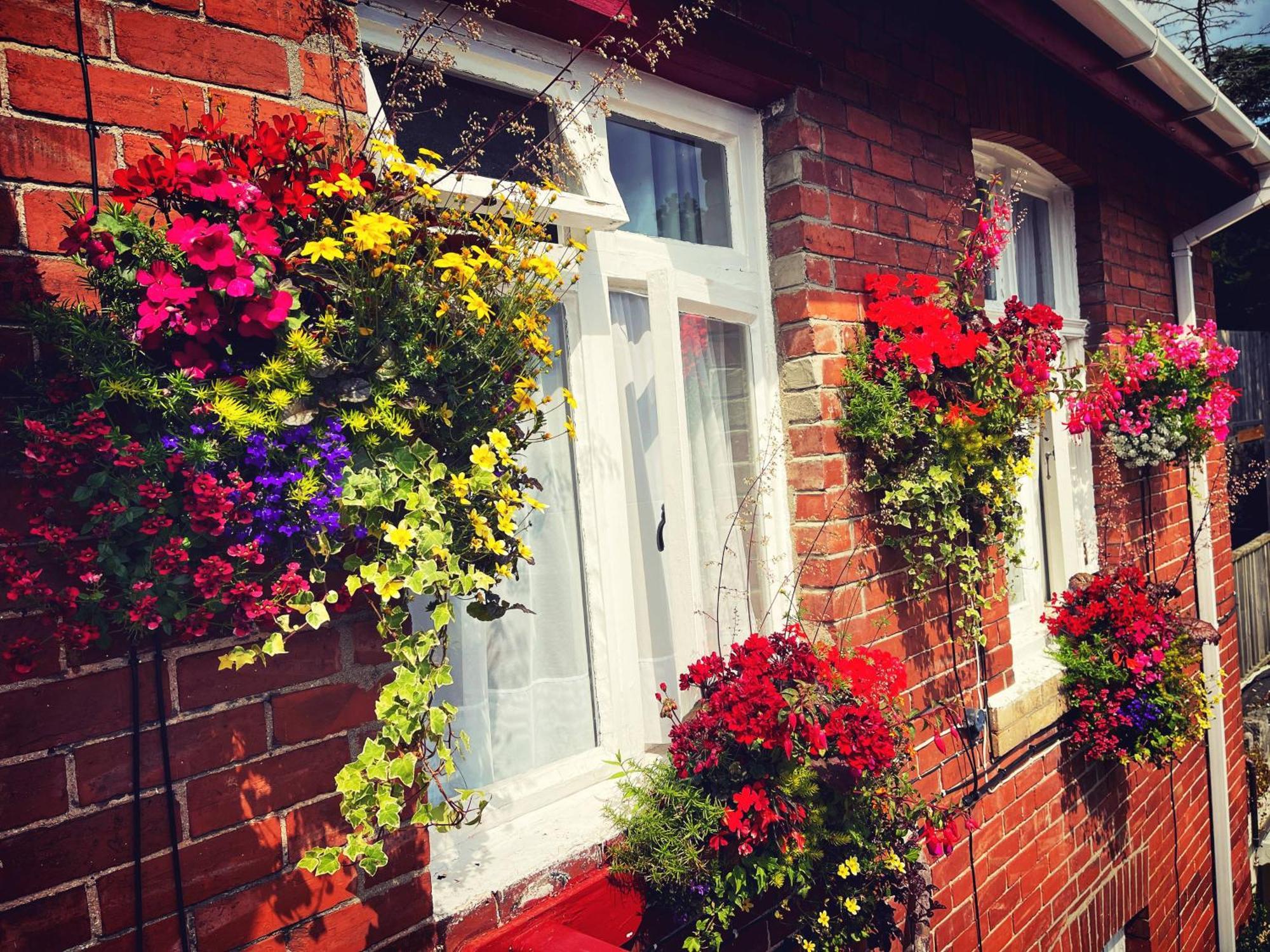 The Robin Hill Bed & Breakfast Torquay Bagian luar foto